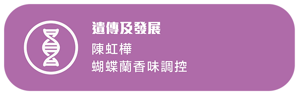 會議_c-07.png